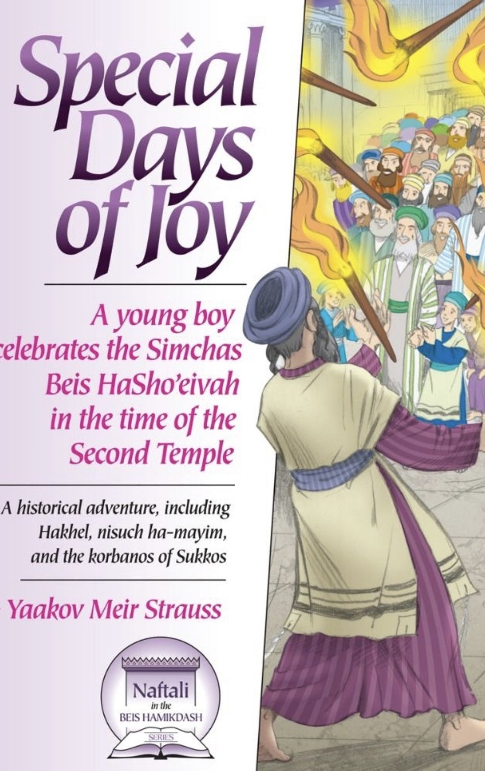 Special Days of Joy book cover